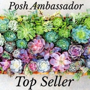 Make an Offer!! 🦋 I Ship Fast!!